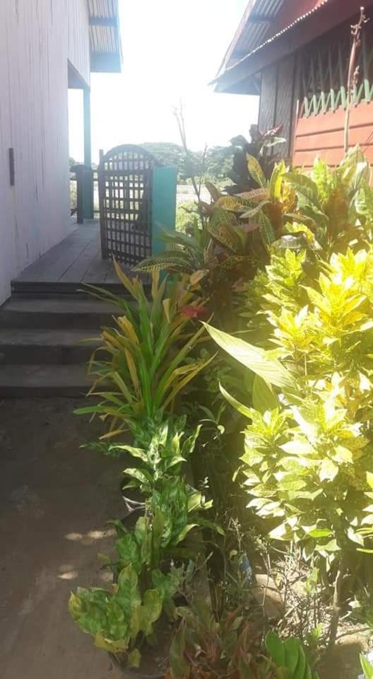 Sompong Sunset View Guest House Ban Dondét 客房 照片